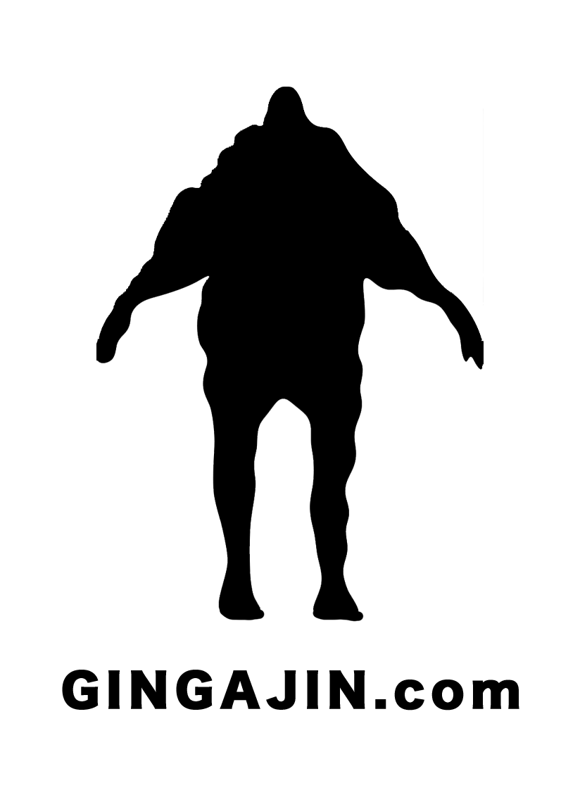 GINGAJIN.com